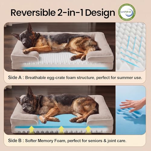 Orthopedic Extra Large Dog Bed Couch (44" x 29" x 7" / 04-Beige)