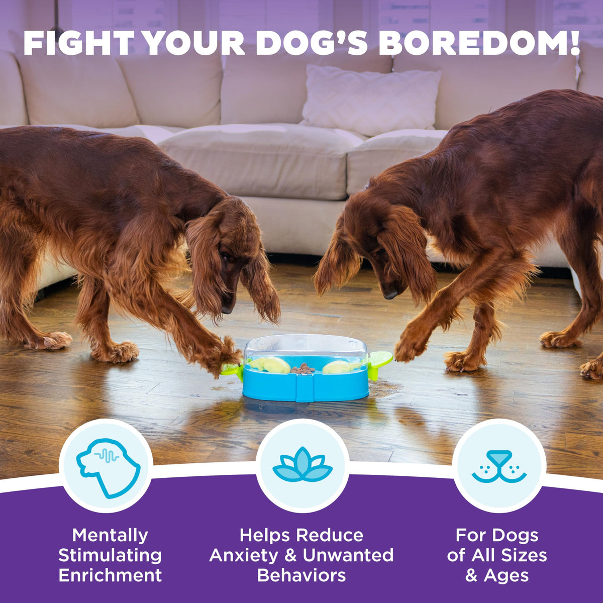 Nina Ottosson Paw N' Play Dog Toy Treat Puzzle