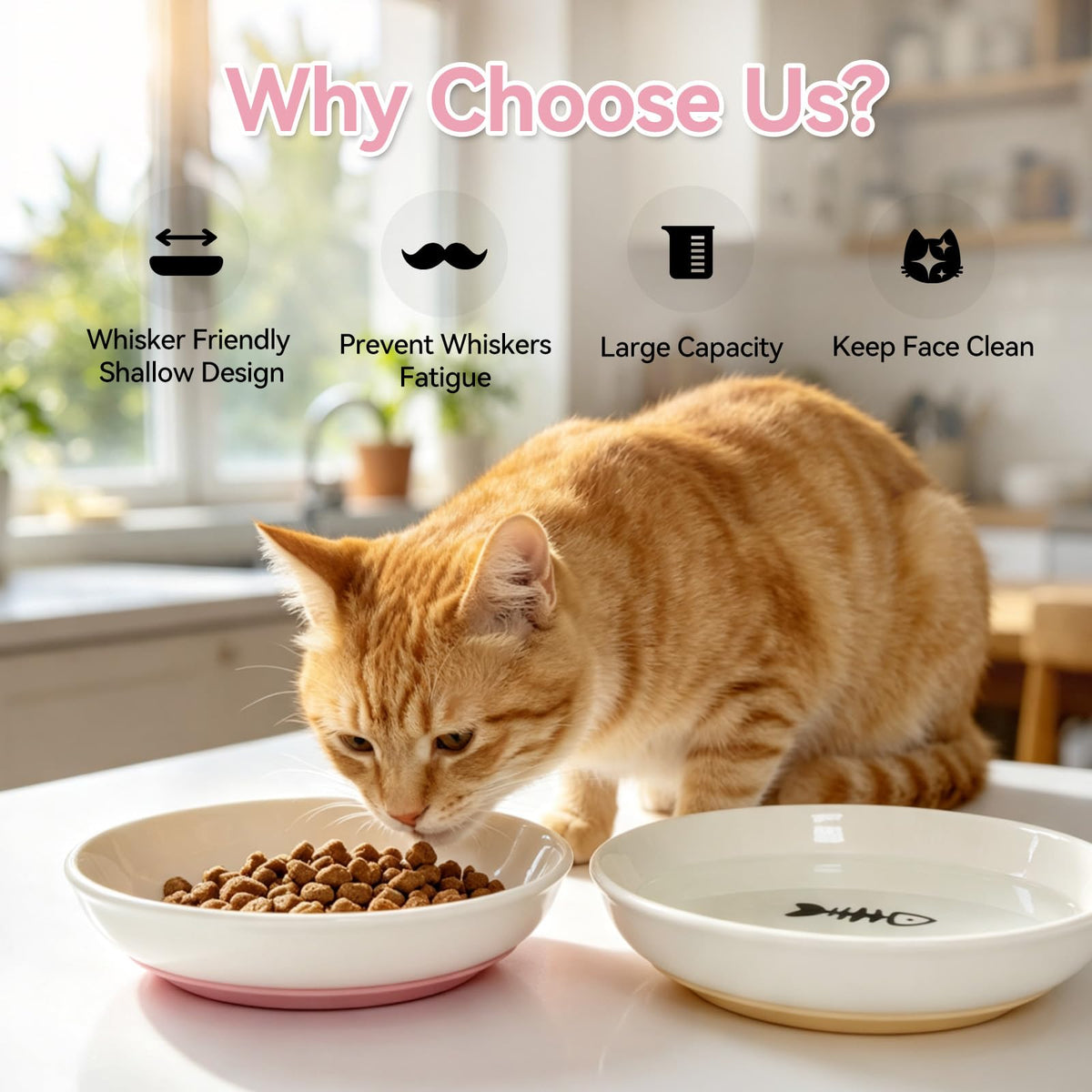 4 Pack Ceramic Cat Bowls with Silicone Base