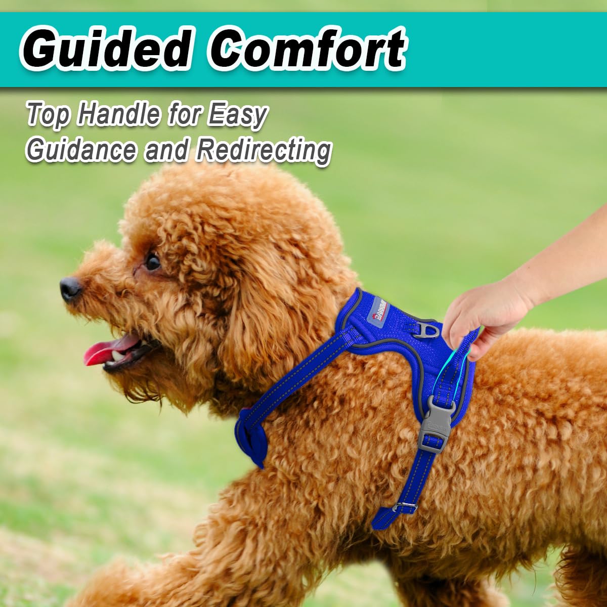 Dog Harness for Small Sized Dog No Pull Mesh 2 Clips Dog Vest (Sapphire Blue-Mesh / Small)