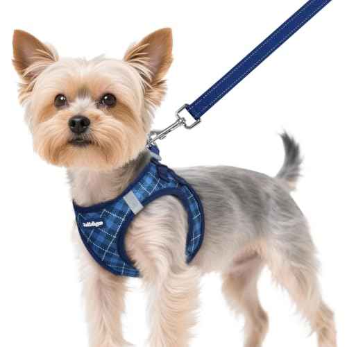 Dog Harness Small Sized and Leash Set (Navy Blue Plaid / XS (Chest: 13.3"-15.5"))