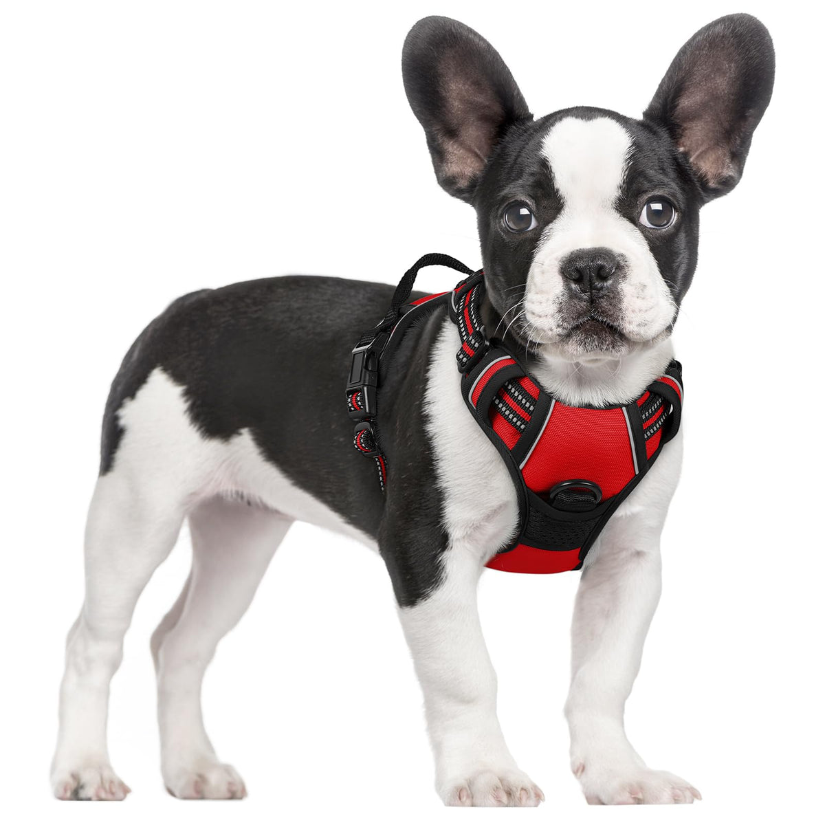 Dog Harness No Pull for Small Dogs with 2 Leash Clips (Small / Red)
