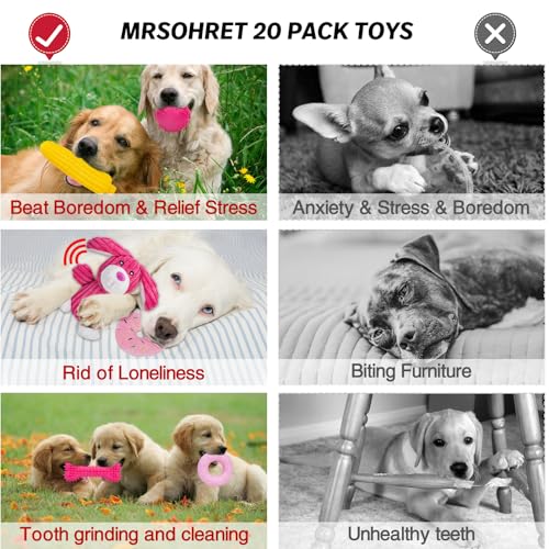 20Pcs Puppy Chew Toys for Teething (Rabbit)