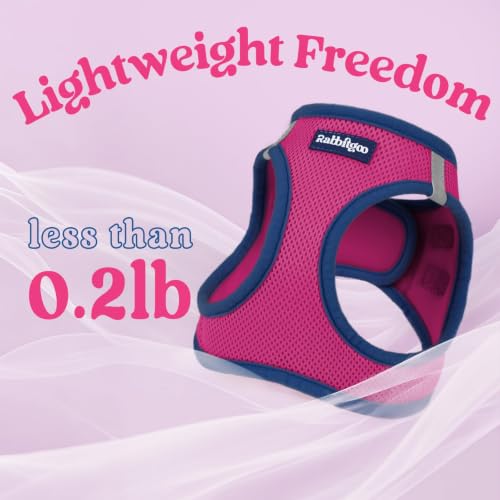Dog Harness Small Sized and Leash Set (Rose Red & Navy Blue / M (Chest: 16.0"-18.5"))