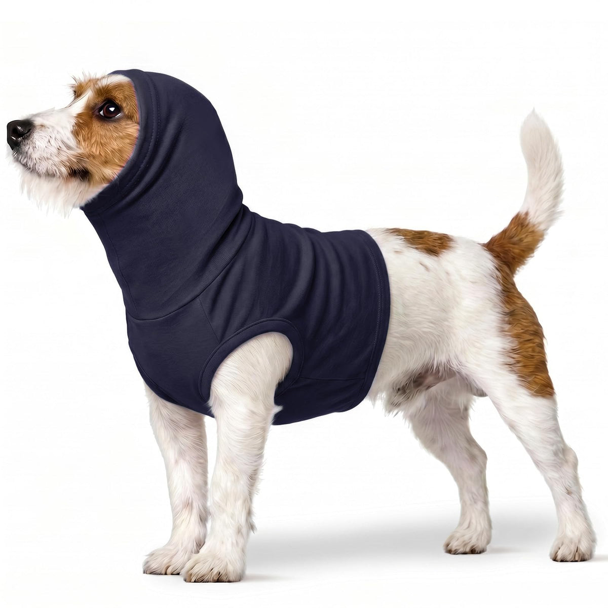 Cat Neck Cover (DeepBlue / S(Chest: 16.9"))