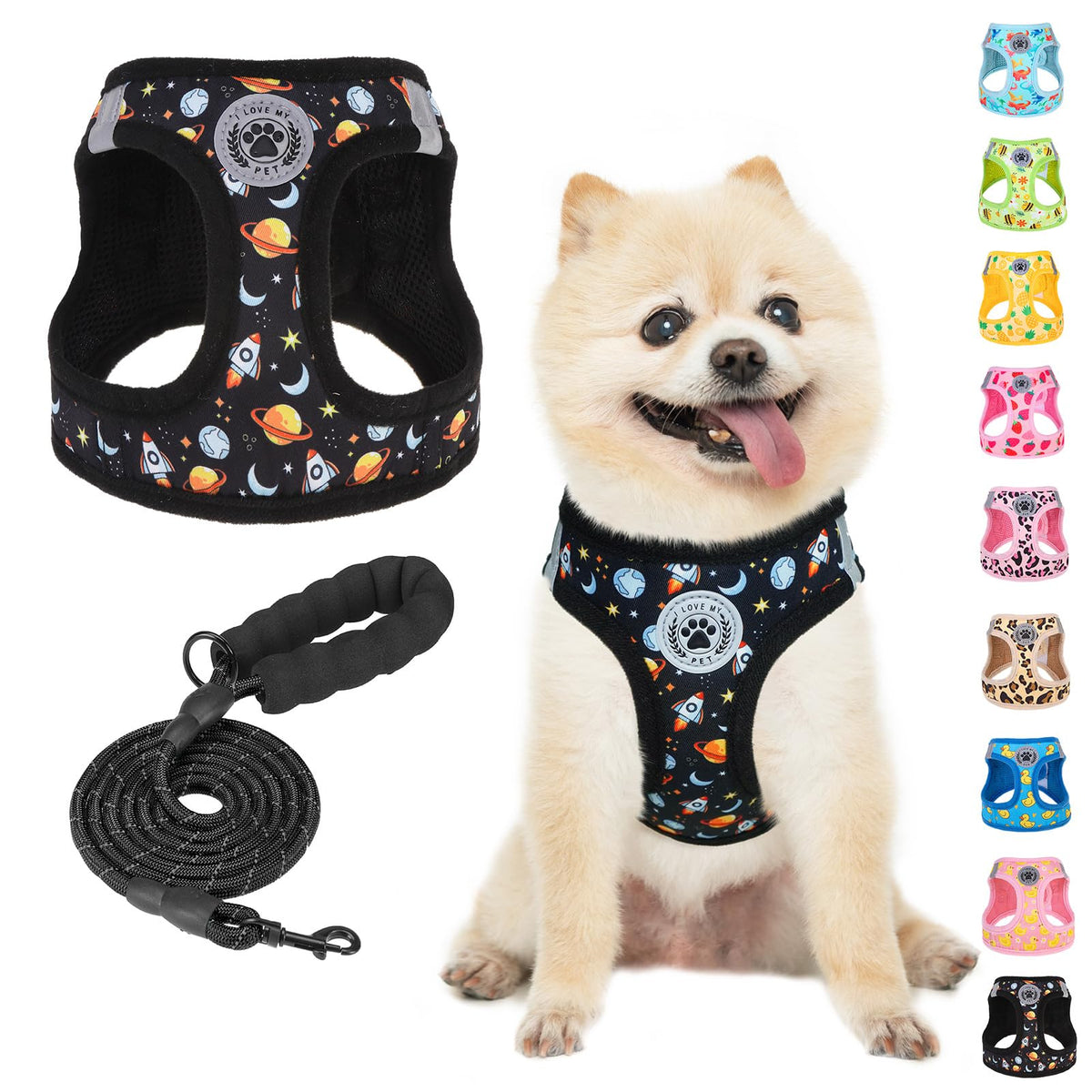 Small Dog Harness and Leash Set (XSmall(Chest Girth 13" - 14.5") / Black Planet)