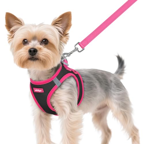 Dog Harness Small Sized and Leash Set (Black & Rose Red / XS (Chest: 13.3"-15.5"))