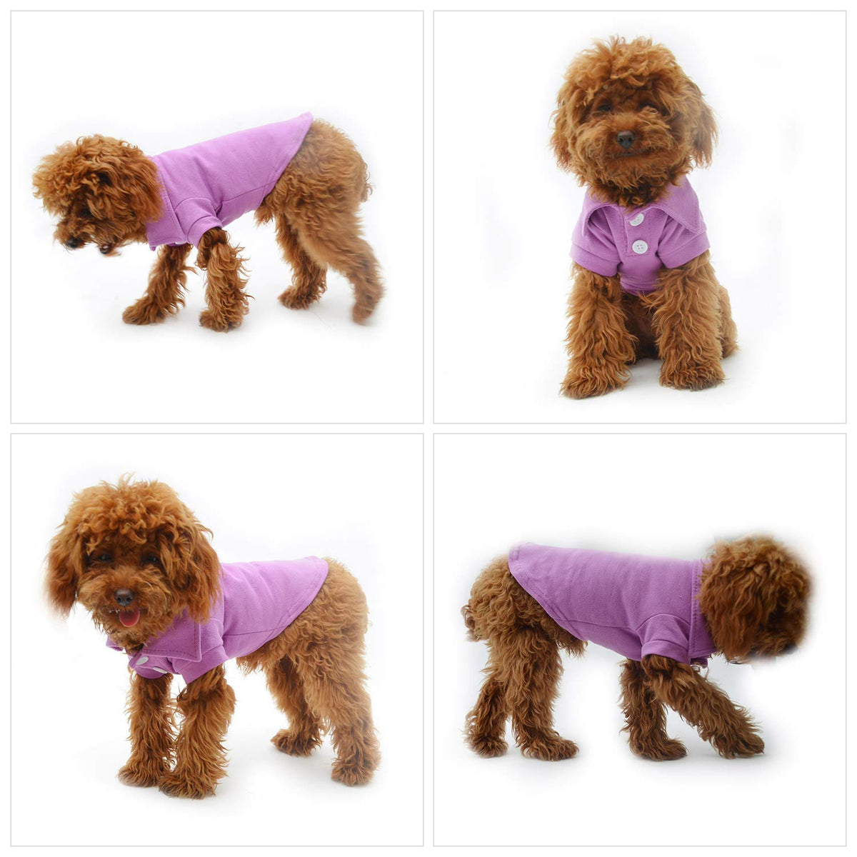 Basic Dog Polo Shirts Premium Cotton (XS (-6lbs) / Violet)