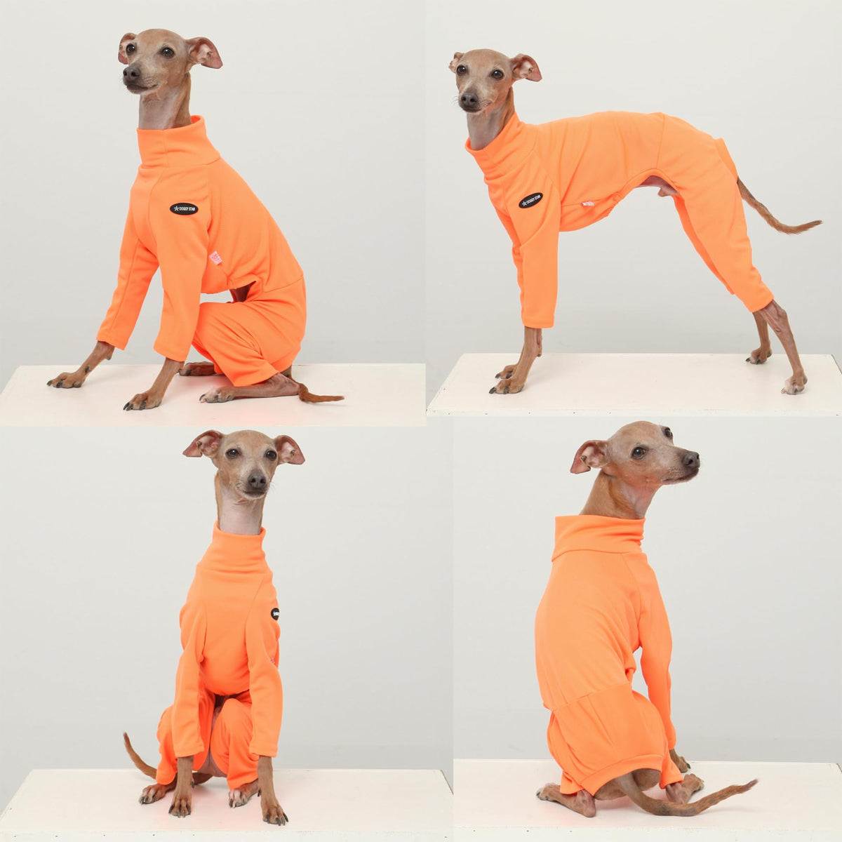 D Doggy Star Italian Greyhound Clothes Stretchy Neon Onesie Spring Summer (3XL / Onsi Ne Orange)