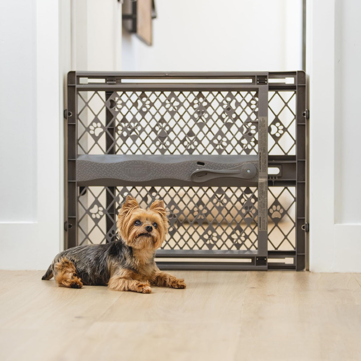 Paws Portable Pet Gate (Fieldstone)
