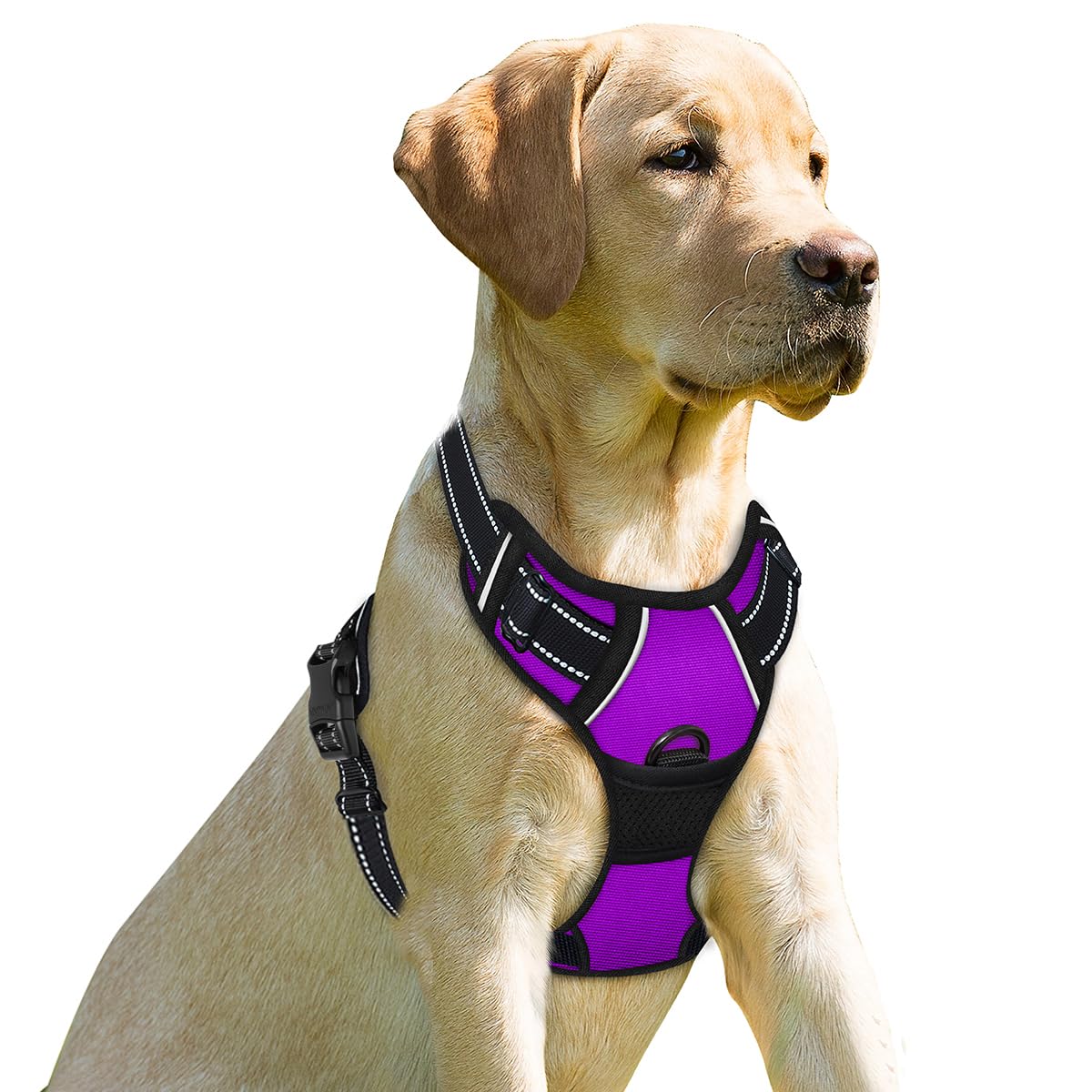 Dog Harness No Pull for Small Sized Dog Front Back Clips (X-Small(Chest:15.5-19.5”) / Purple)