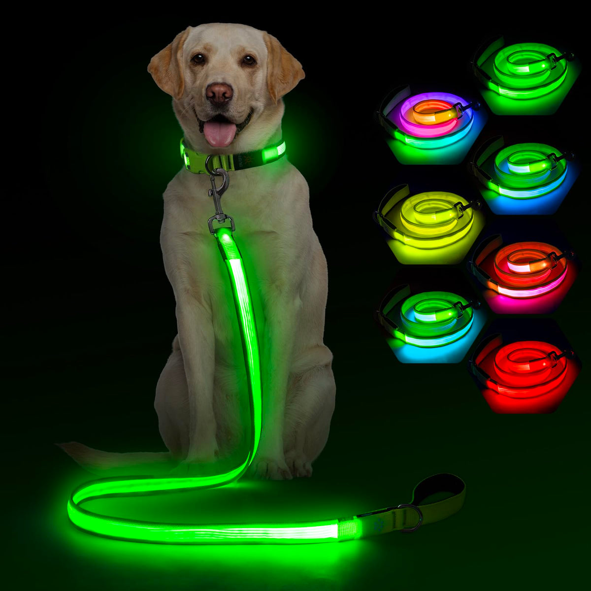 4 Ft Multi Color Light up Dog Leash (Multi-Color / 4 FT (Green))