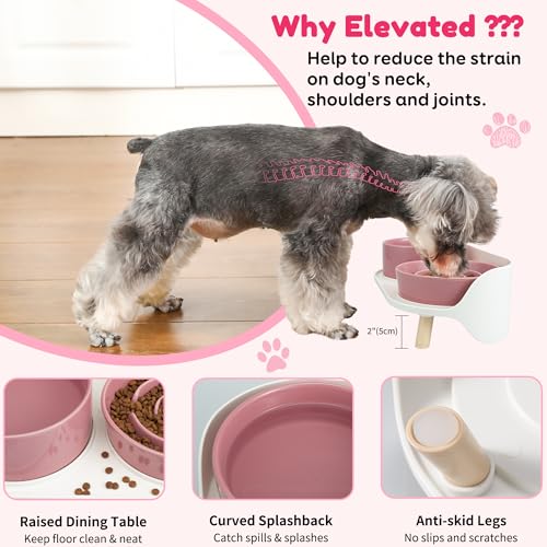 Elevated Slow Feeder Dog Bowls with Splash Proof Stand (Medium / Pink)