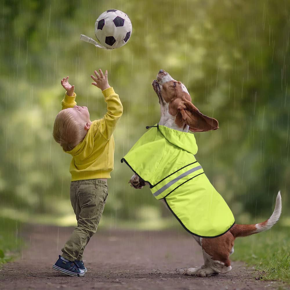 Reflective Dog Raincoat (Neon Green / XX-Large)