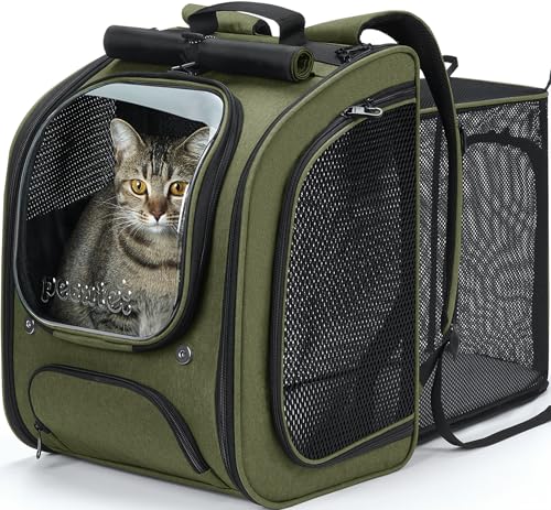 Cat Backpack Carrier