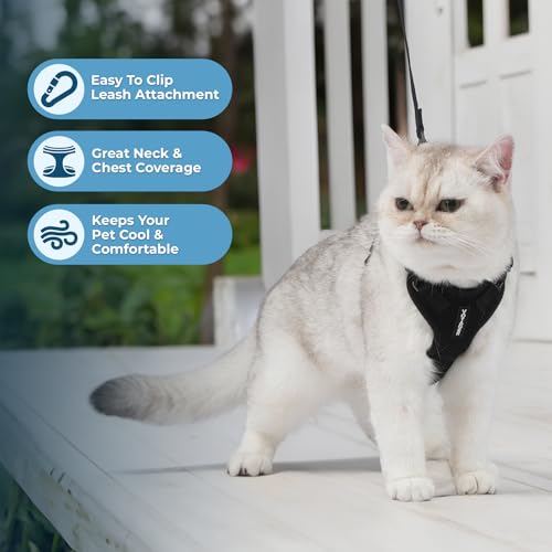 Voyager Step in Lock Cat Harness & Leash Set (Black / XXXS (Chest: 10.5 - 13"))