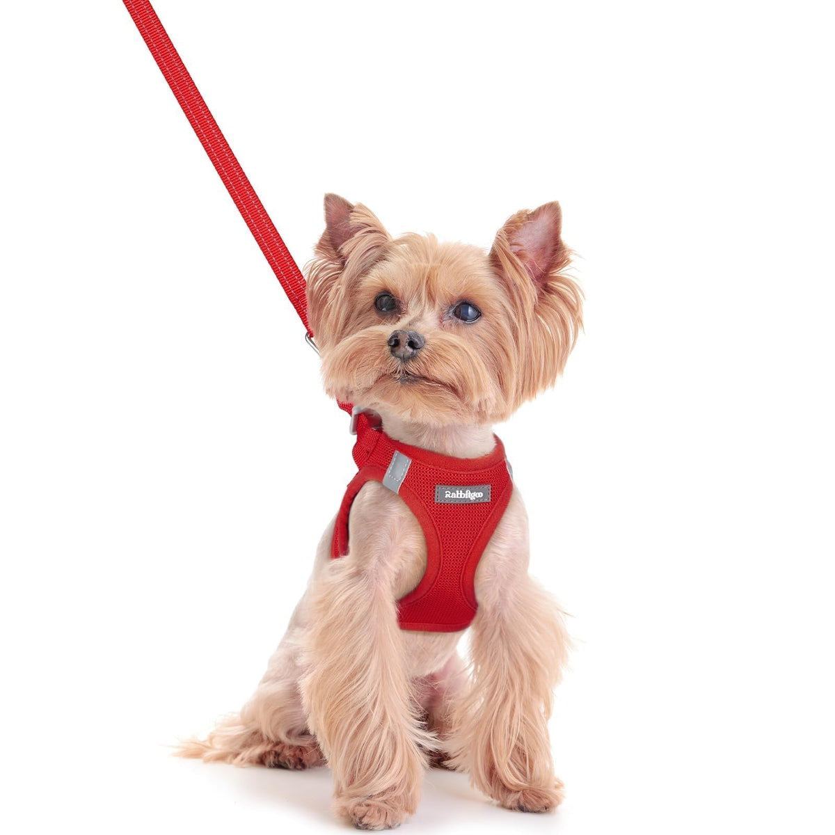Dog Harness Small Sized and Leash Set (Red / Xxs (chest: 12.4 - 14.2"))