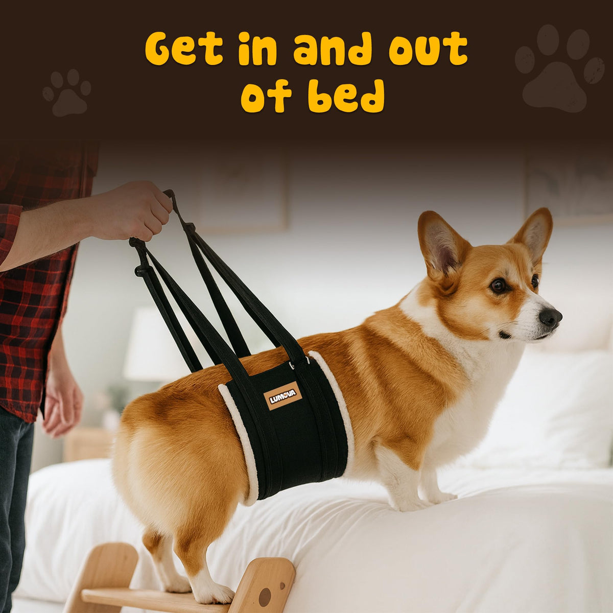 Dog Lift Harness (Medium (M))