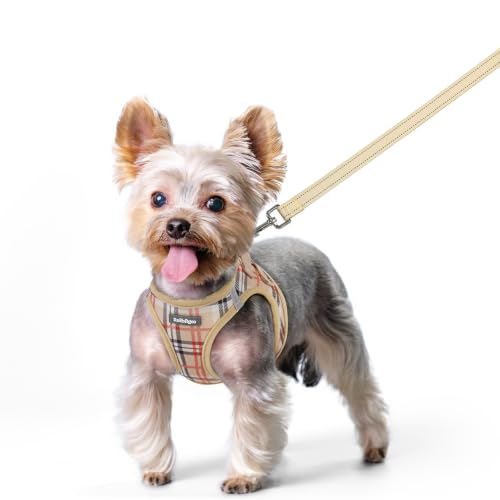 Dog Harness Small Sized and Leash Set (Beige Plaid / Xs (chest: 13.3 - 15.5"))