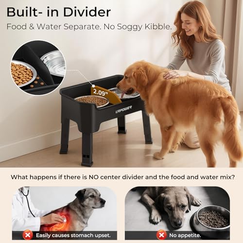 Mess Proof Elevated Dog Bowls (Black / Medium)