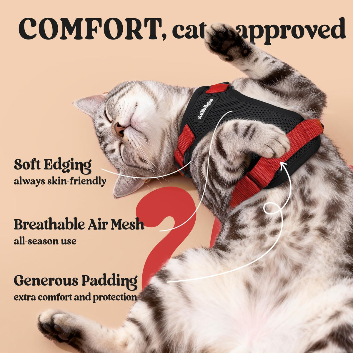 Cat Harness and Leash Set (Xs / Black & Red)