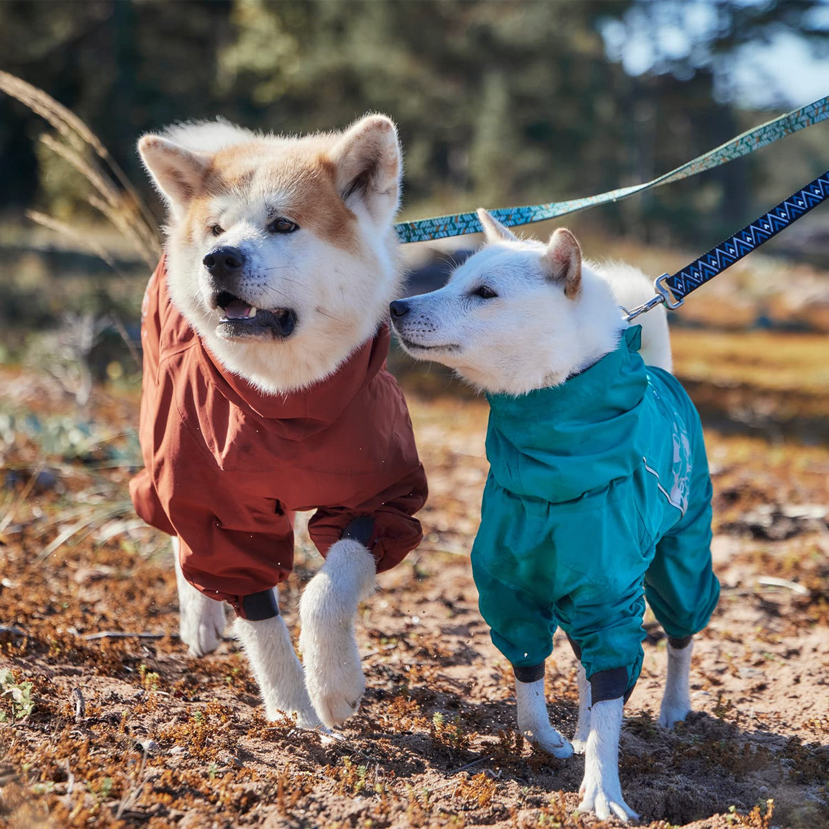 Mudventure ECO Dog Overall (12S / Peacock)