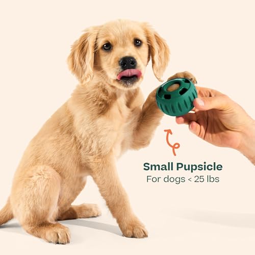 Pupsicle Interactive Dog Ball Toy for Dogs Small 10 (Green / Small)