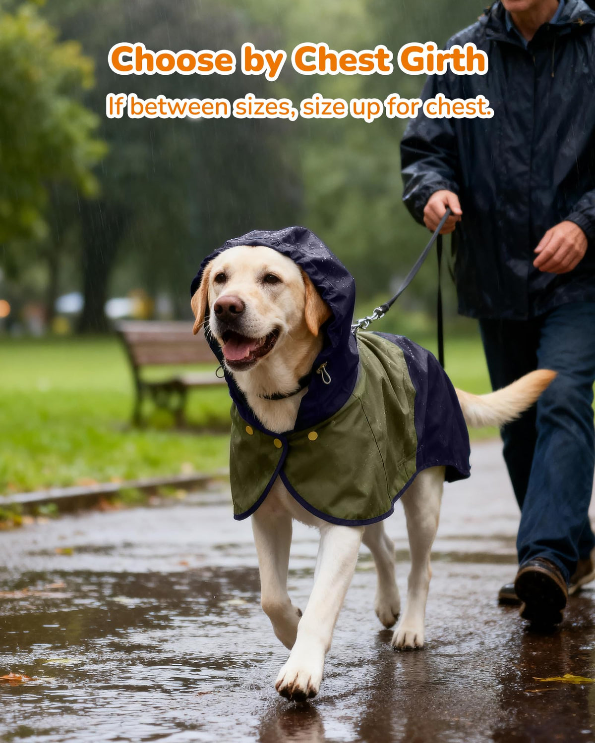 Waterproof Dog Raincoat with Hood (XX-Large / Blue-Green)