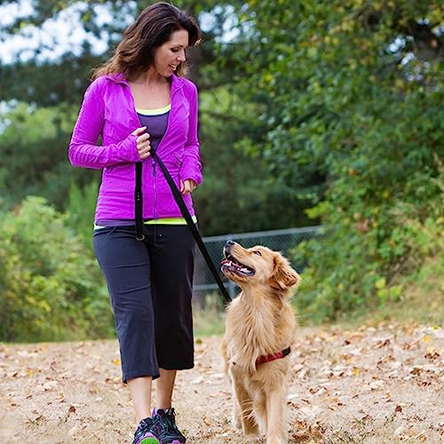 Black Leather Dog Leash 6ft x 5 (6 ft x 5/8 inch / Black)