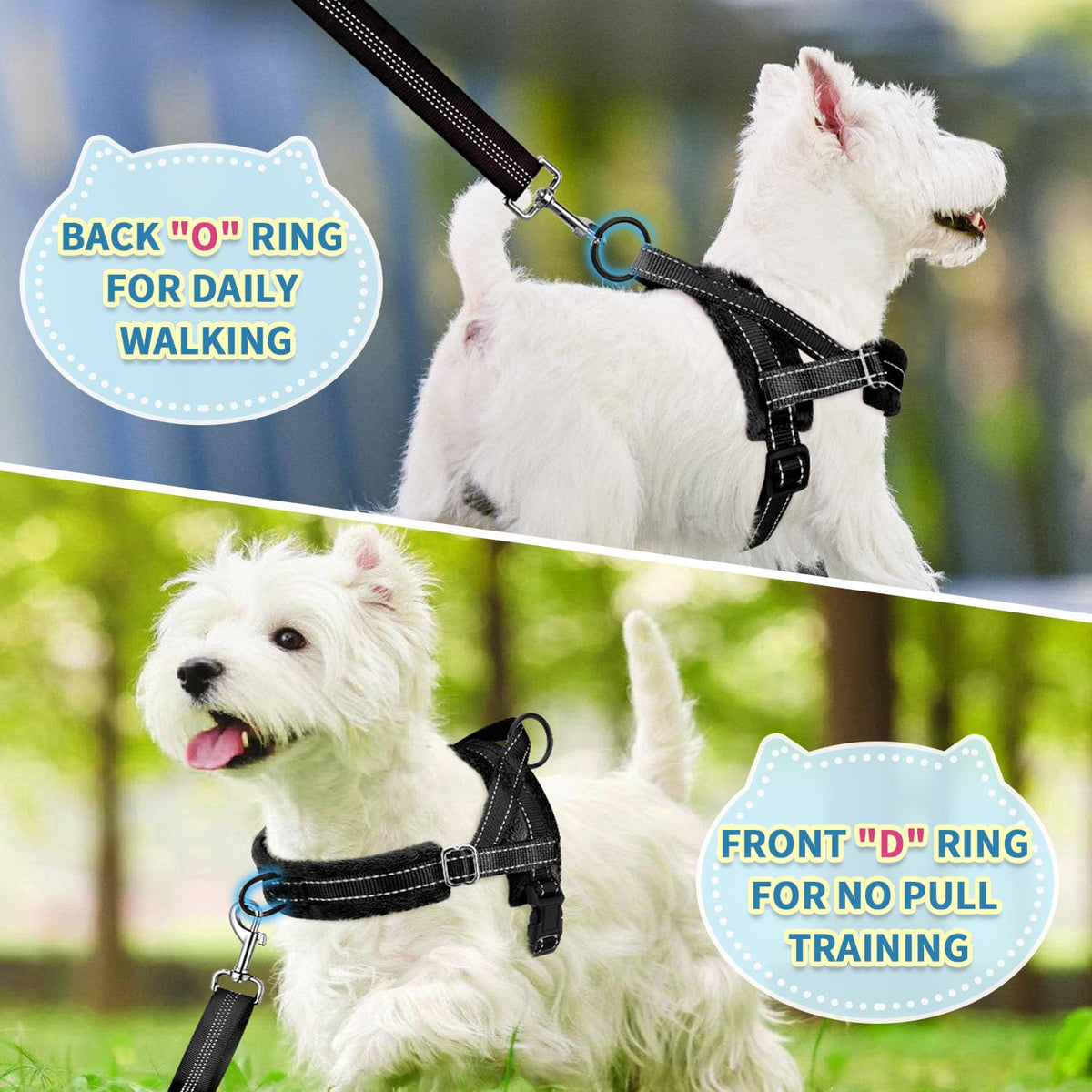 No Pull Small Dog Harness and Leash Set with Front Clip (Small / Black)
