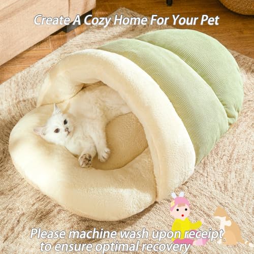 Cat Bed Cat Cave Bed for Indoor Cats and Small Dogs (Medium / Green)