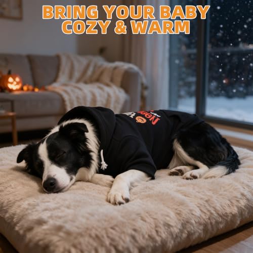 Halloween Dog Hoodie for Large Medium Dogs (Halloween Black / X-Large)