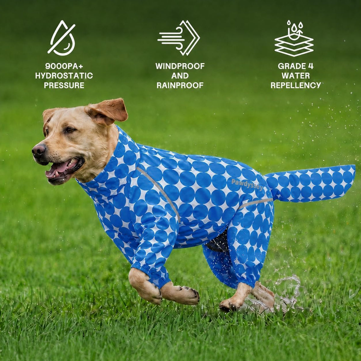 Polka Dot Dog Raincoat (Royal Blue / Large)