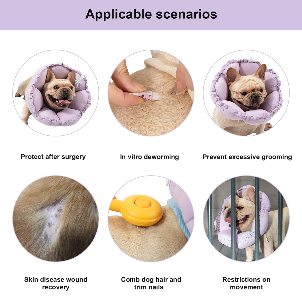 Dog Cone Collar Stress (XL-WideNeck / purple)