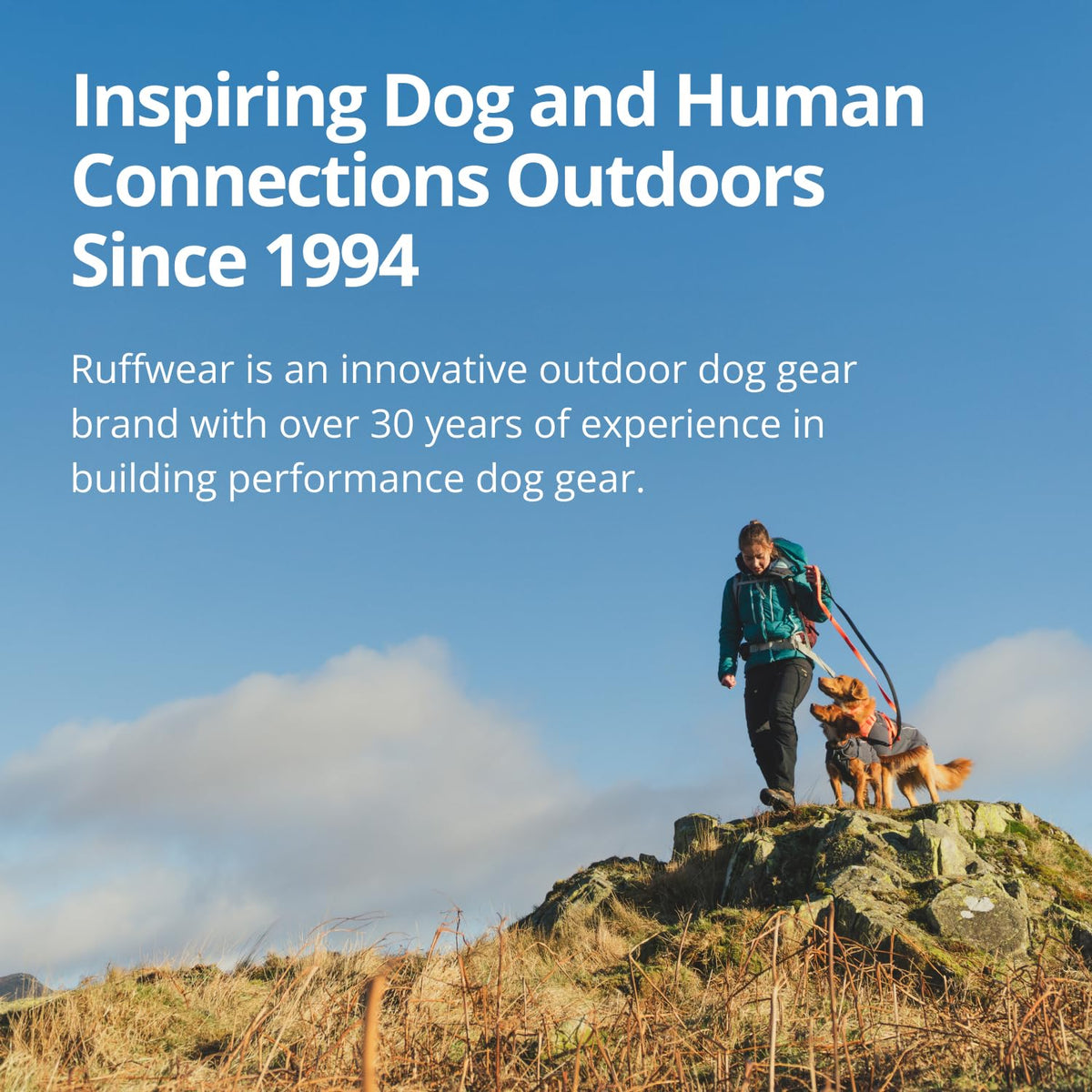 Sun Shower Dog Raincoat (Mineral Yellow / X-Large)