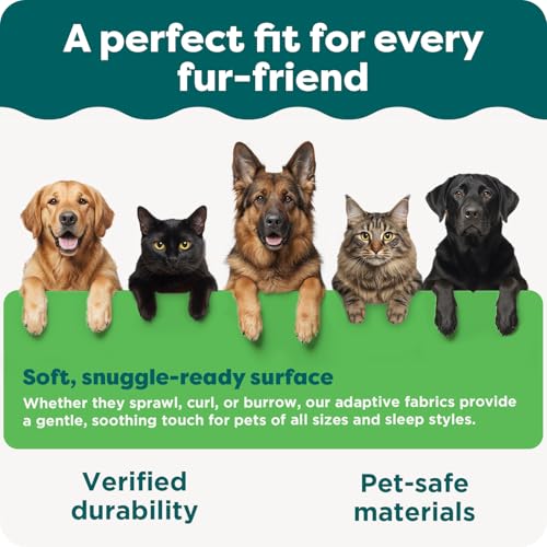 Steady Paws Multi (Gray / 3-Step / Pet Stairs)