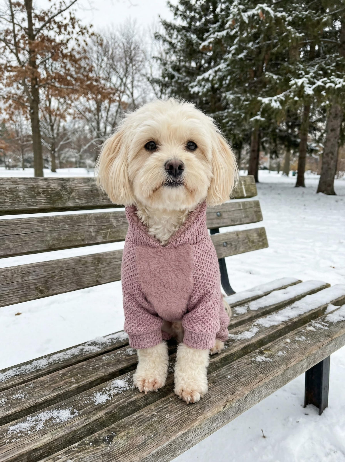 Collared Neck Fleece Dog Pajamas (Large / Pale Violet Red)