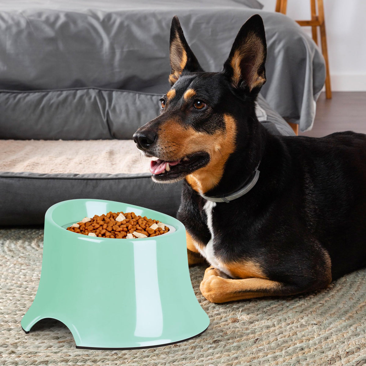 Tilted Elevated Dog Bowls Non (M/2 Cup / Green)