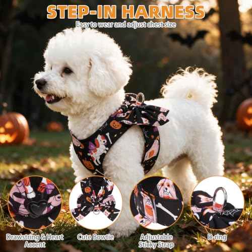 Halloween Dog Harness and Leash Set for Small Medium Sized Dogs Cats (BLACK / S (Chest Girth: 13.8"-15.7"))