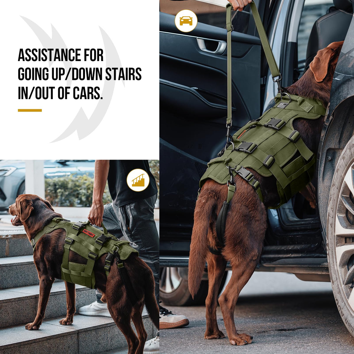 Dog Lift Harness for Large Dogs (Green / M)