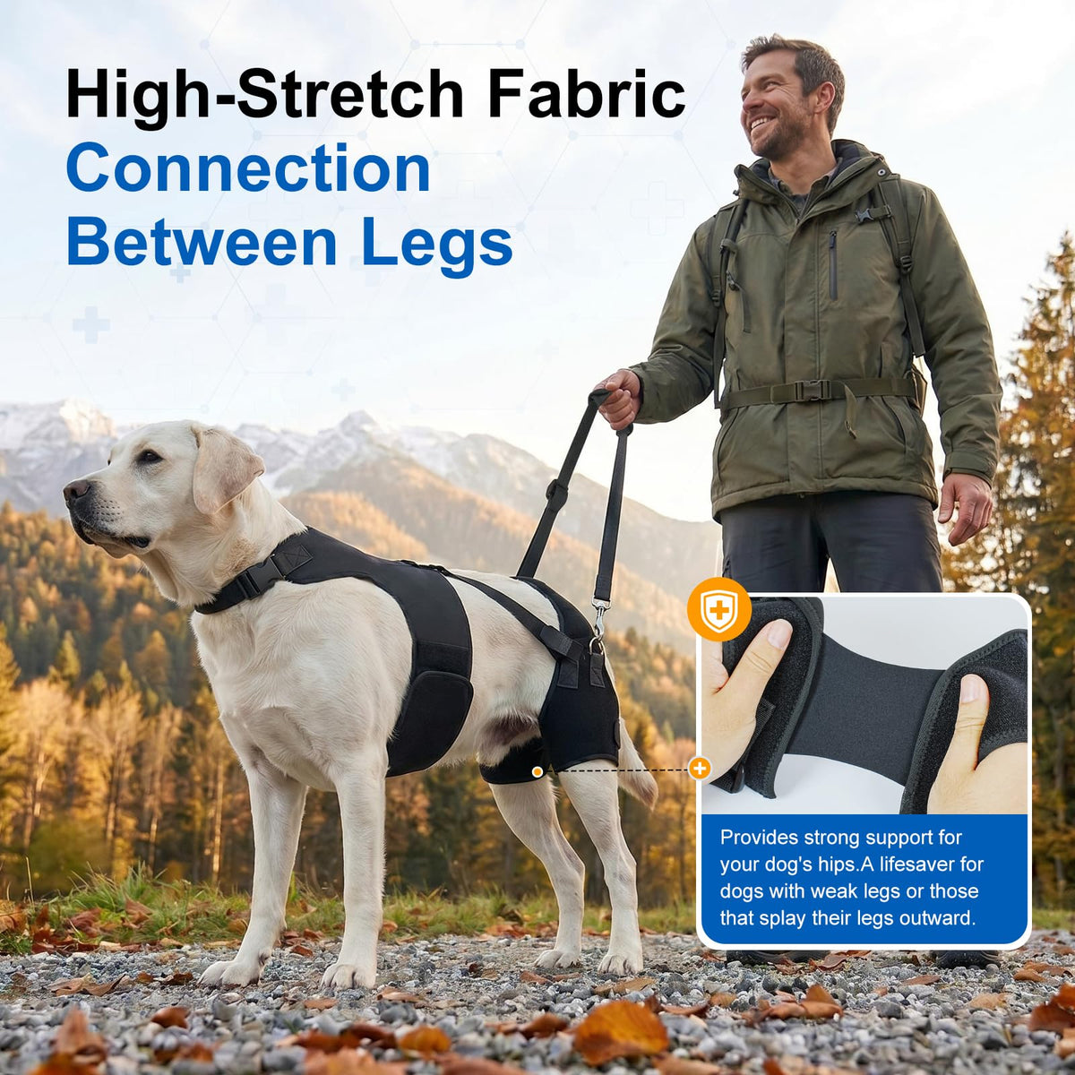 Dog Hip Dysplasia Brace with Back Lift Strap (2XL)