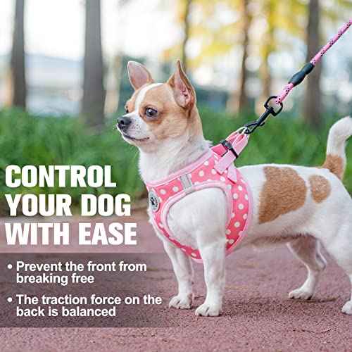 Step in Dog Harness and Leash Set (XX-Small(Chest Girth 11.5"-13") / Pink Polka Dots)