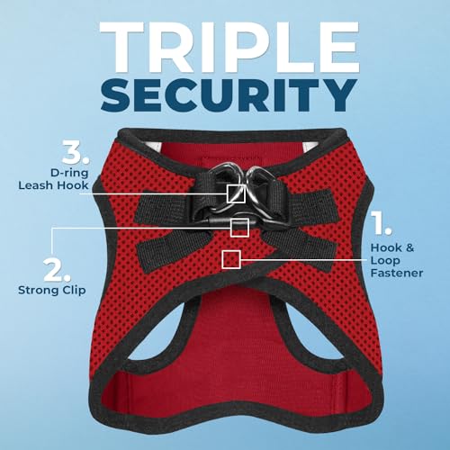 Voyager Step in Air All Weather Mesh Harness and Reflective Dog 5ft Leash Combo with Neoprene Handle