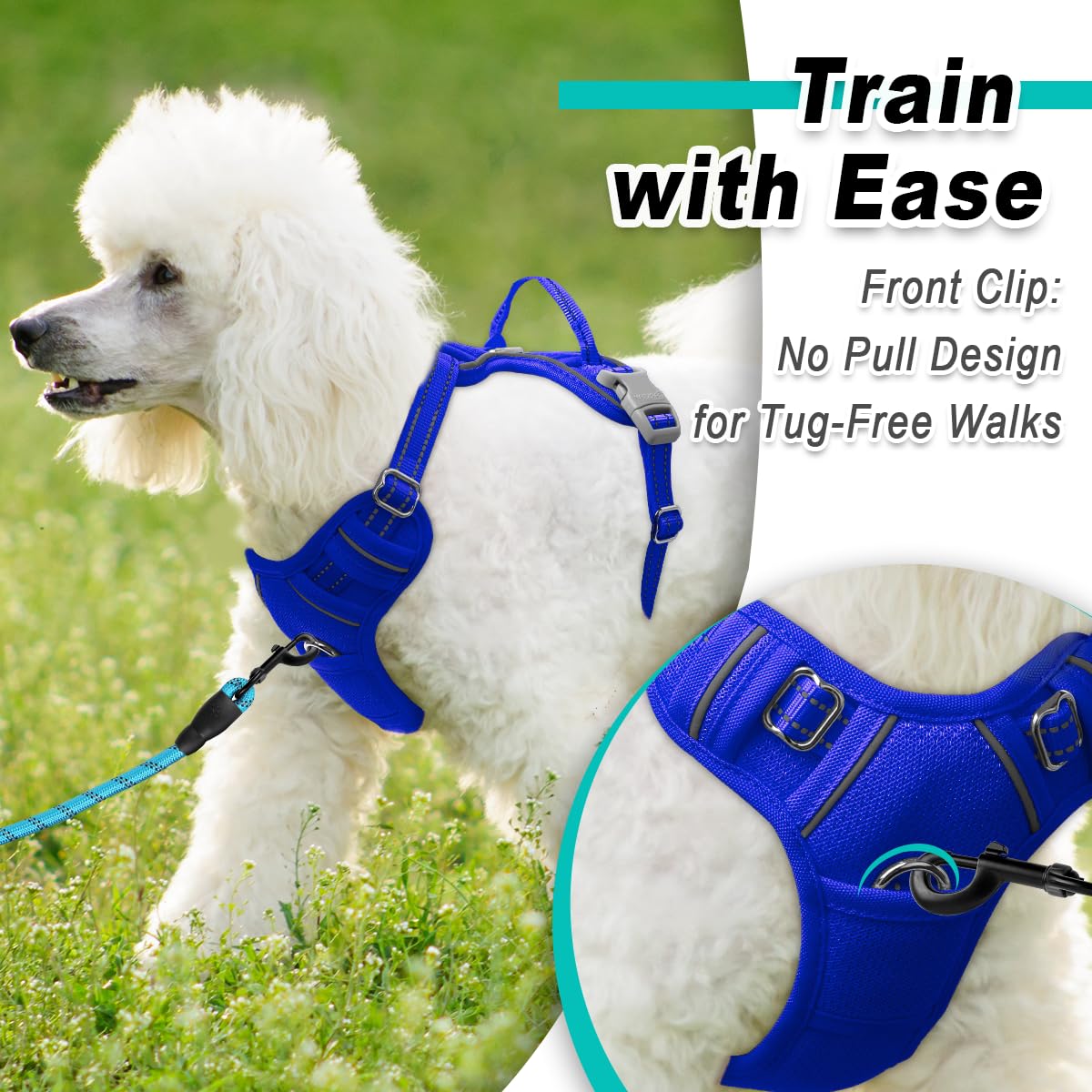 Dog Harness for Small Sized Dog No Pull Mesh 2 Clips Dog Vest (Sapphire Blue-Mesh / Small)