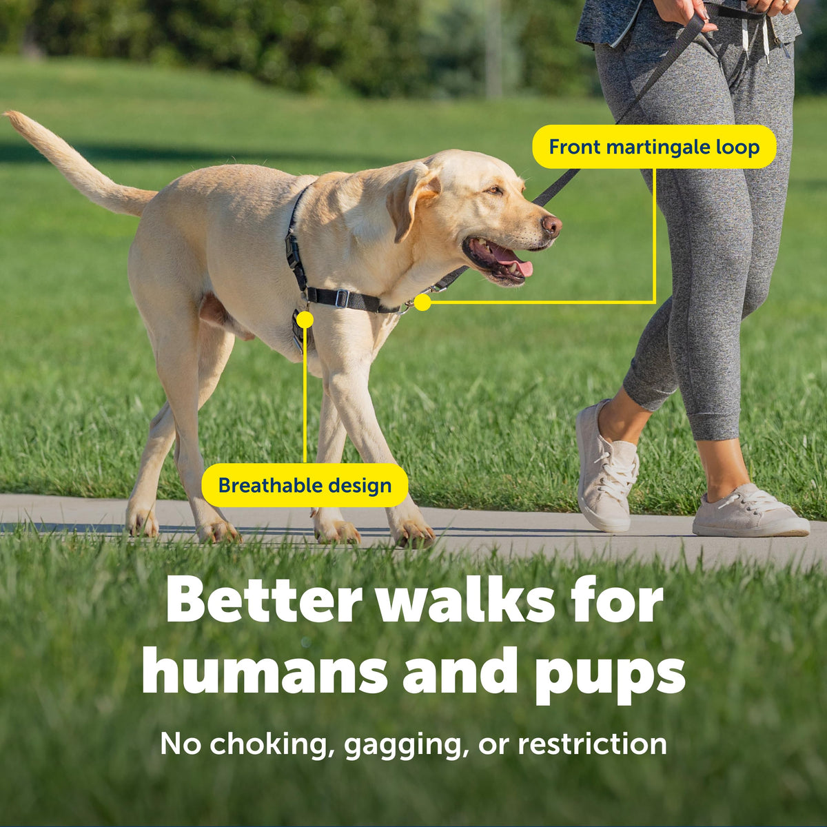 Easy Walk Harness (Medium / Raspberry Pink/Grey)