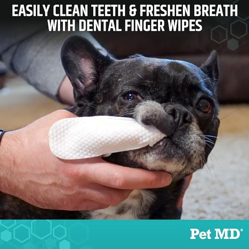 Pet Dental Finger Wipes for Dogs (50 Count (Pack of 1))