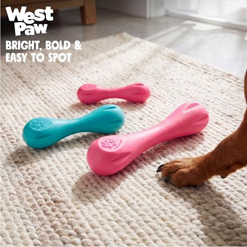 Zogoflex Hurley Dog Bone Chew Toy (X-Small / Geranium)