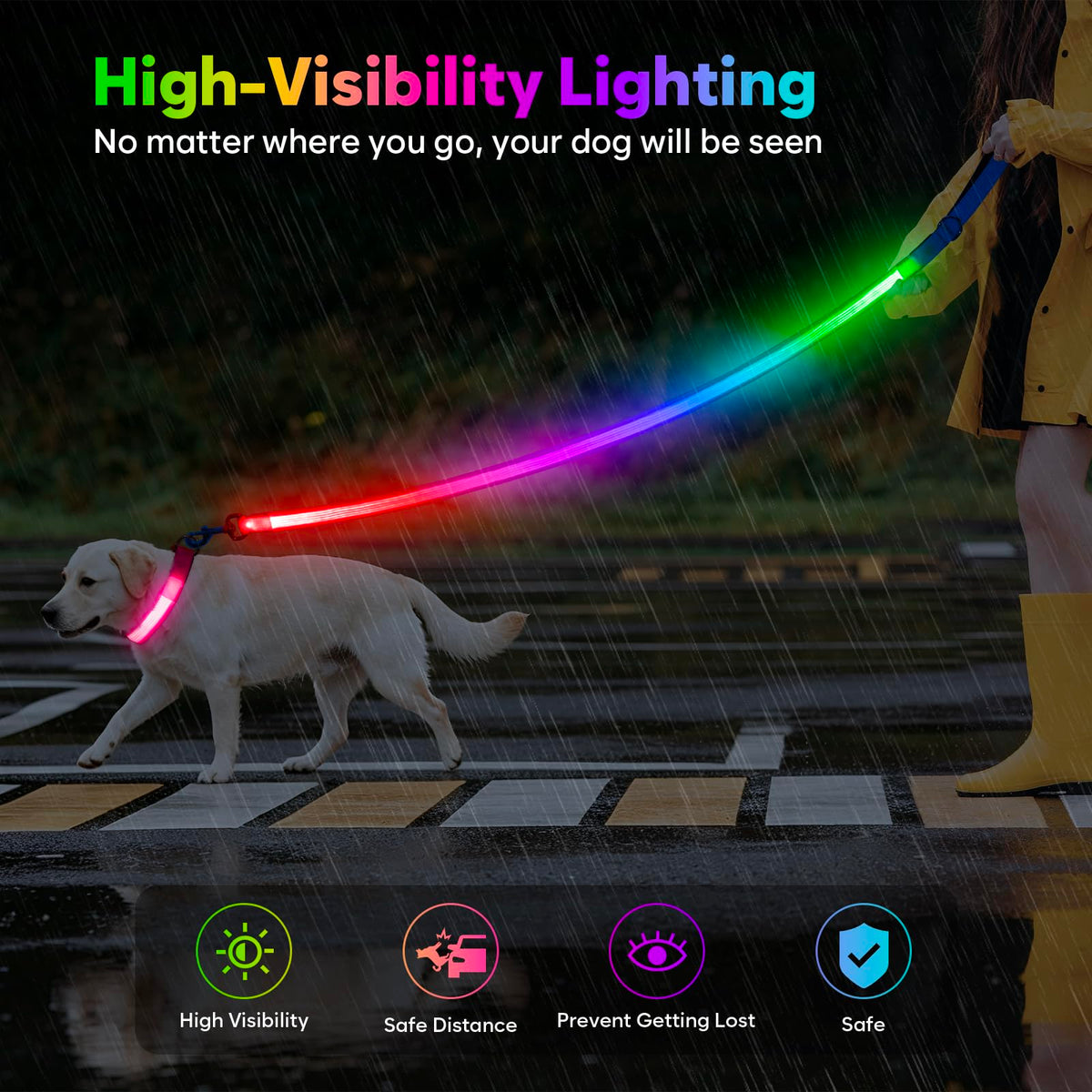 4 Ft Multi Color Light up Dog Leash (Multi-Color / 4 FT (Blue))