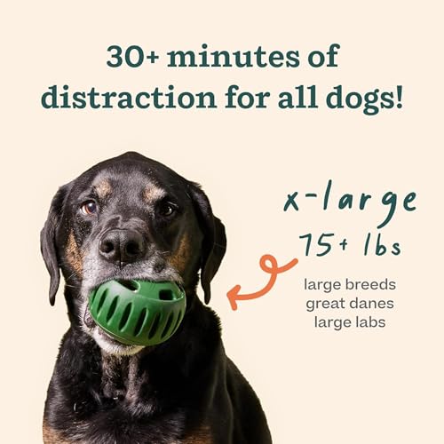 Pupsicle Interactive Dog Ball Toy for Dogs 75 lbs & Up (Green / X-Large)