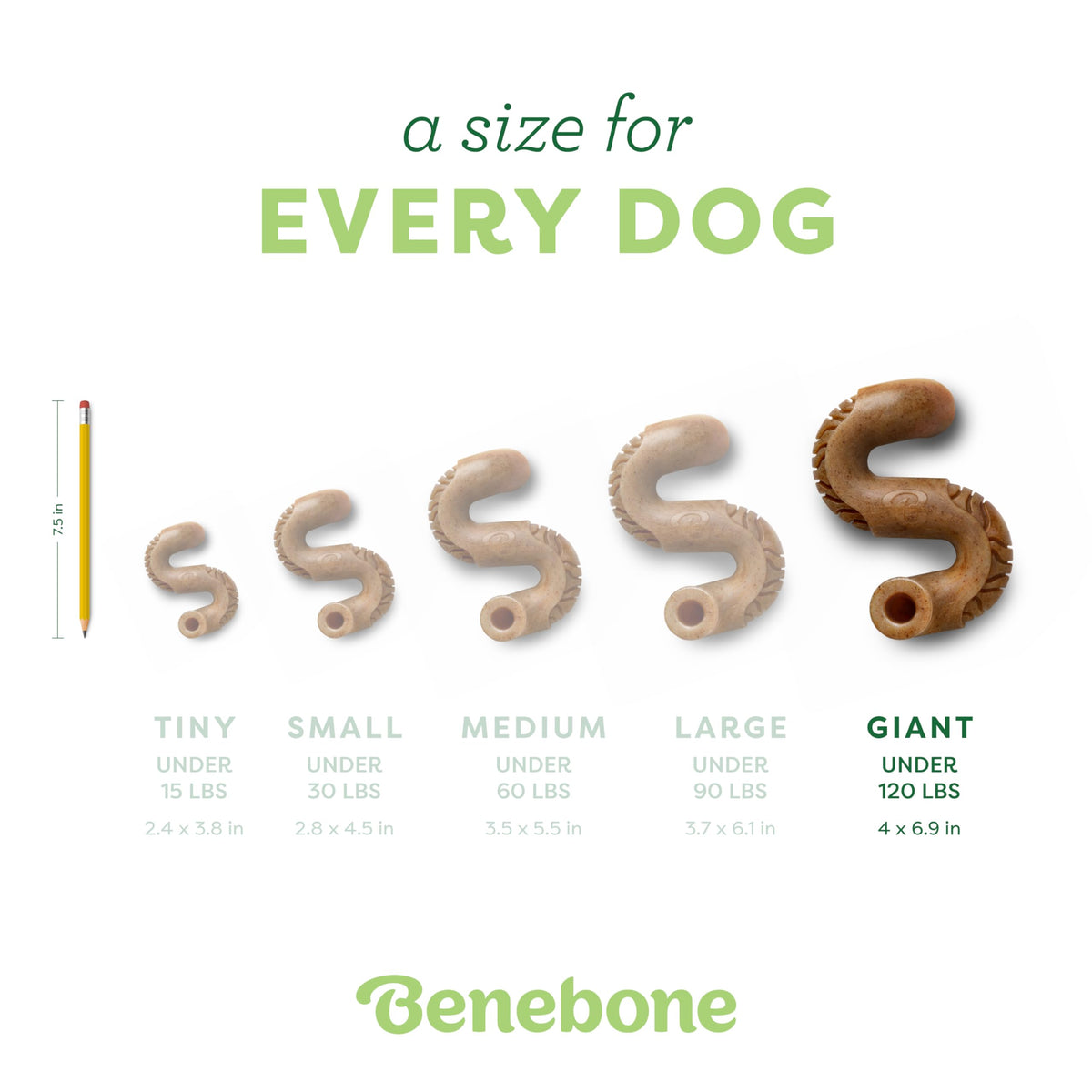Tripe Bone Durable Dog Chew Toy for Aggressive Chewers (REAL Beef / Giant)